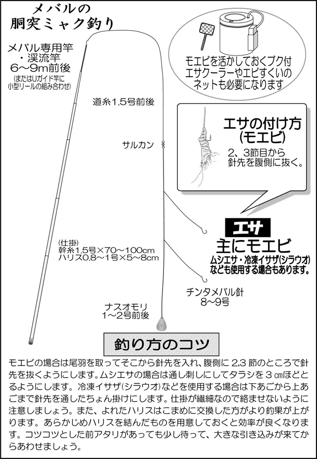 メバルの胴突ミャク釣り｜釣具のイシグロ |釣り情報サイト